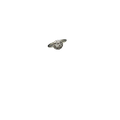 BlingbyAnvika 925 sterling silver ring with circular setting and sparkling stones, vintage charm.